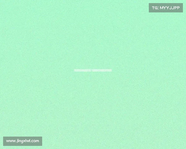 萨利巴渴望与阿森纳续约 皇马有意引进科纳特加强防线